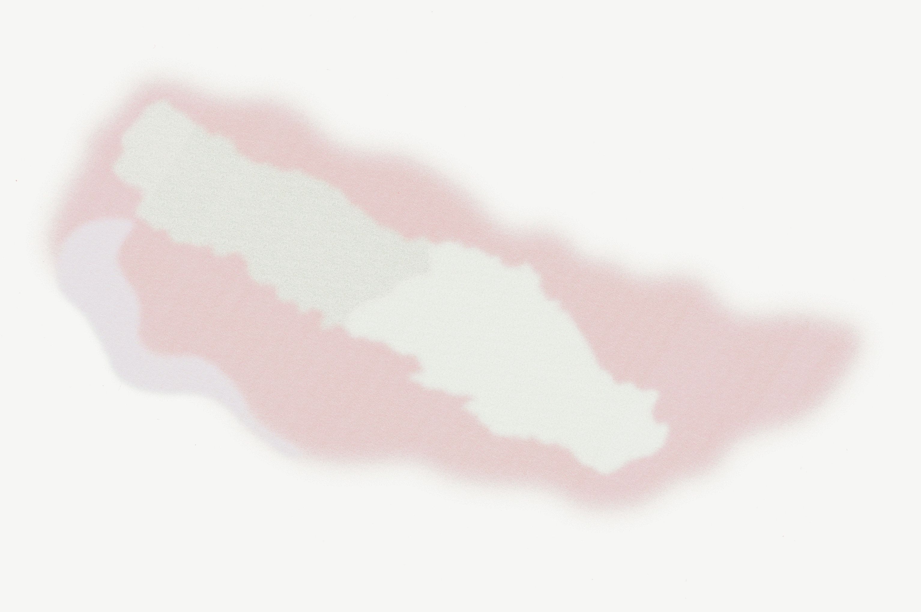 People Food & Land Foundation program map